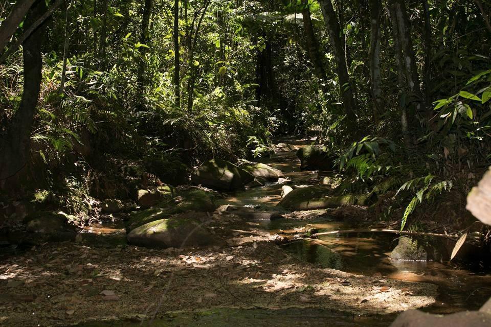 Hotel Fazenda Paraiso Da Serraコンゴーニャス エクステリア 写真